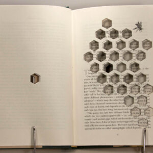 Altered Books - Bee hive Altered Book - by Mary Uthuppuru