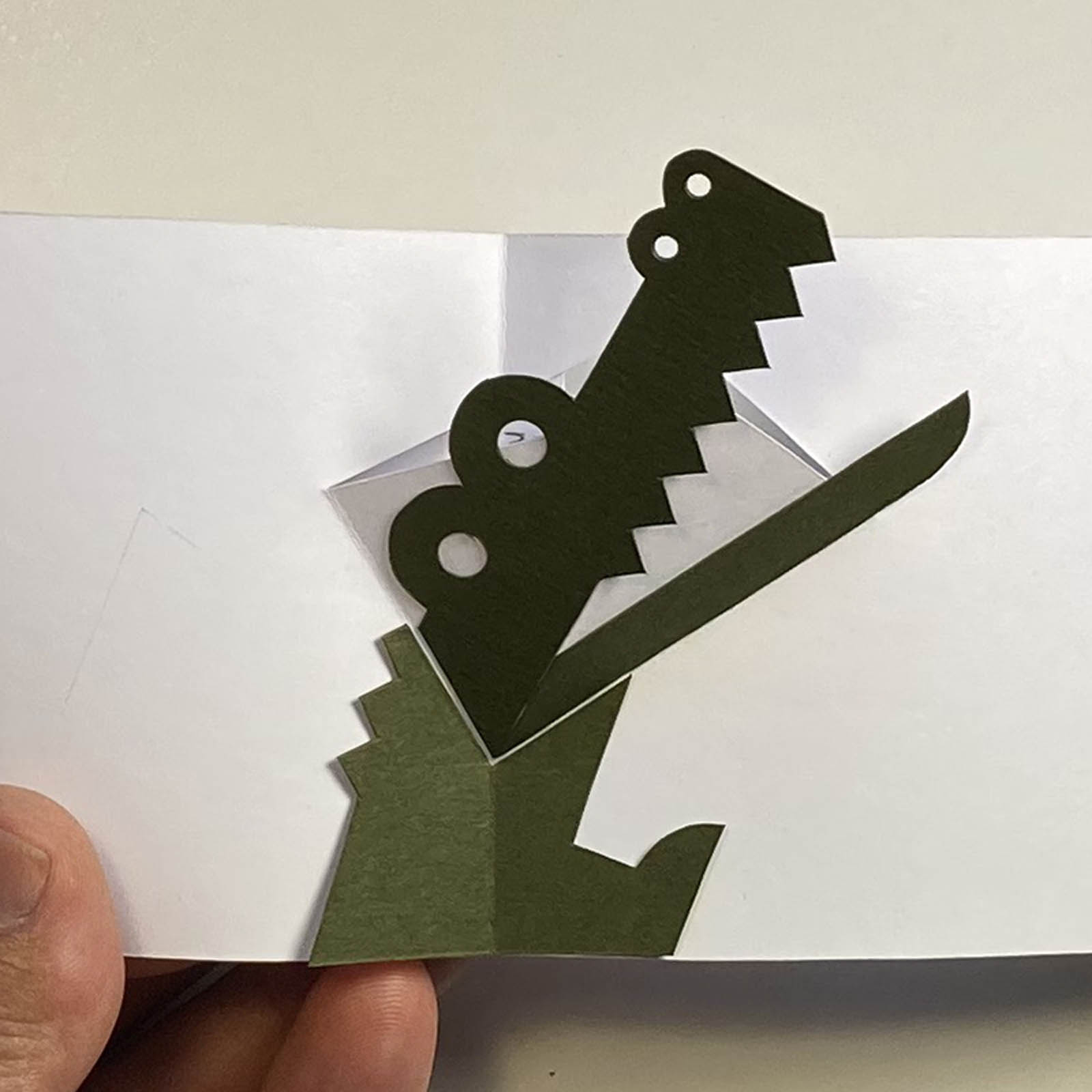 Gator pop-up book by Shawn Sheehy